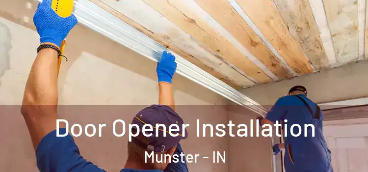 Door Opener Installation Munster - IN