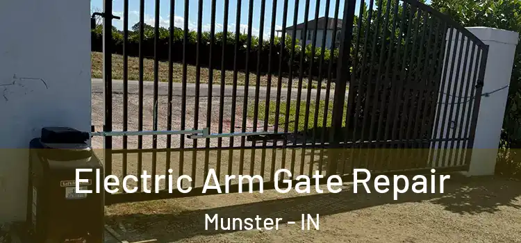 Electric Arm Gate Repair Munster - IN