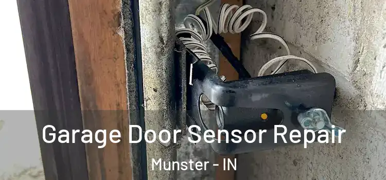 Garage Door Sensor Repair Munster - IN