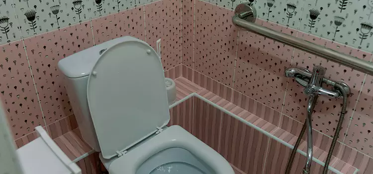 Meeting Diverse Needs With Accessible Restroom Solutions in Munster, IN